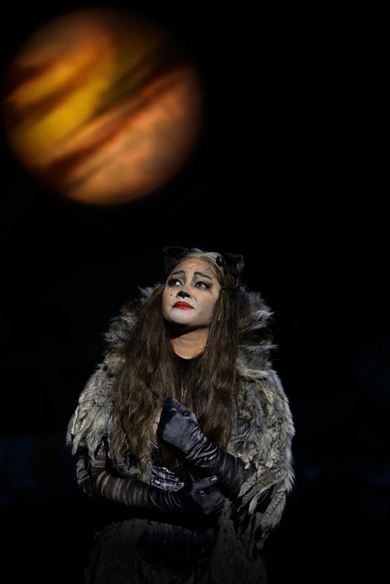 cats international tour cast